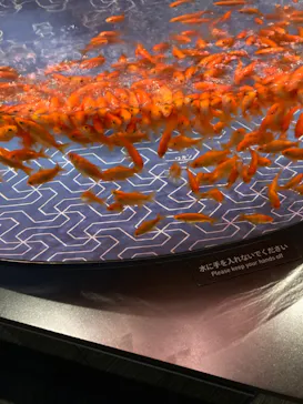 すみだ水族館に投稿された画像（2021/12/4）