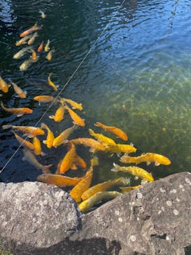 土肥金山に投稿された画像（2021/12/4）