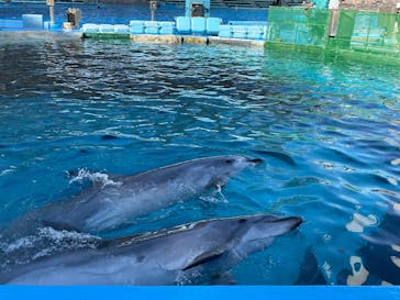 名古屋港水族館に投稿された画像（2021/12/4）