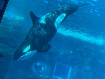 名古屋港水族館に投稿された画像（2021/12/4）