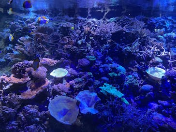 名古屋港水族館に投稿された画像（2021/12/4）