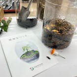 伊勢夫婦岩めおと横丁　めおと岩アクティビティに投稿された画像（2021/12/4）