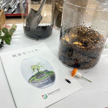 伊勢夫婦岩めおと横丁　めおと岩アクティビティに投稿された画像（2021/12/4）