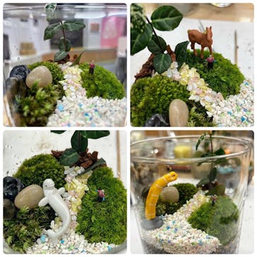 伊勢夫婦岩めおと横丁　めおと岩アクティビティに投稿された画像（2021/12/4）