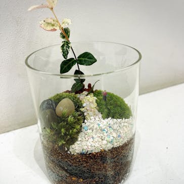 伊勢夫婦岩めおと横丁　めおと岩アクティビティに投稿された画像（2021/12/4）