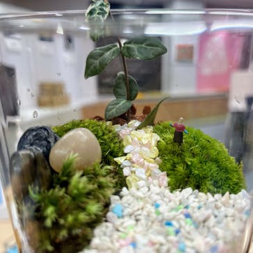 伊勢夫婦岩めおと横丁　めおと岩アクティビティに投稿された画像（2021/12/4）