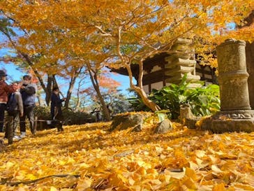 三溪園に投稿された画像（2021/12/4）