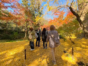 三溪園に投稿された画像（2021/12/4）