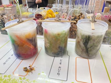 ずこうしつ〜sugamo〜に投稿された画像（2021/12/4）