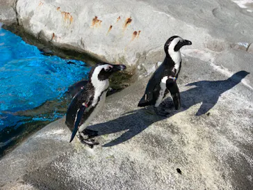 横浜・八景島シーパラダイスに投稿された画像（2021/12/4）