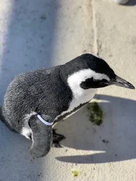 横浜・八景島シーパラダイスに投稿された画像（2021/12/4）