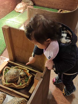 伊豆シャボテン動物公園に投稿された画像（2021/12/4）