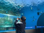 サンシャイン水族館に投稿された画像（2021/12/4）