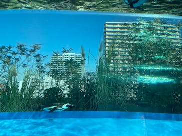 サンシャイン水族館に投稿された画像（2021/12/4）