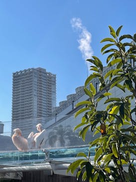 サンシャイン水族館に投稿された画像（2021/12/4）