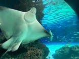 サンシャイン水族館に投稿された画像（2021/12/4）