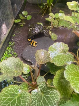 サンシャイン水族館に投稿された画像（2021/12/4）