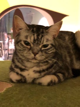 Moff animal world MARK IS みなとみらい店に投稿された画像（2021/12/4）