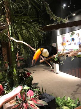 Moff animal world MARK IS みなとみらい店に投稿された画像（2021/12/4）