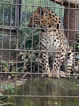 よこはま動物園ズーラシアに投稿された画像（2021/12/4）