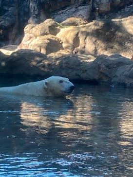 よこはま動物園ズーラシアに投稿された画像（2021/12/4）