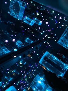 マクセル アクアパーク品川に投稿された画像（2021/12/4）