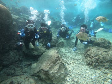 武藤潜水に投稿された画像（2021/12/4）