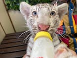 しろとり動物園に投稿された画像（2021/12/4）
