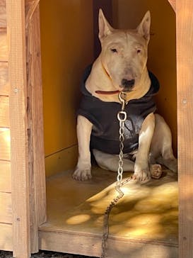 しろとり動物園に投稿された画像（2021/12/4）