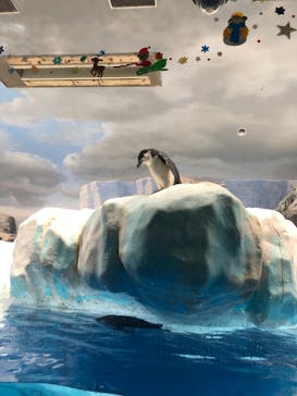 名古屋港水族館に投稿された画像（2021/12/4）