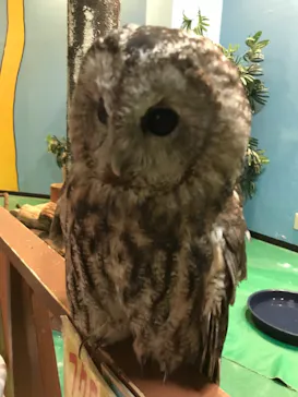 ひらかたパークに投稿された画像（2021/12/4）