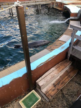 南知多ビーチランド＆南知多おもちゃ王国に投稿された画像（2021/12/4）