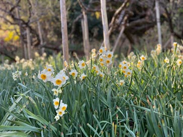 三溪園に投稿された画像（2021/12/4）
