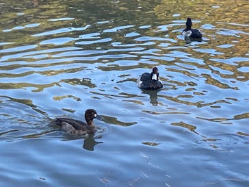 三溪園に投稿された画像（2021/12/4）