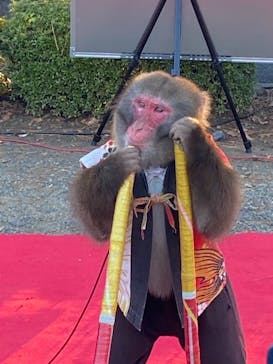 三溪園に投稿された画像（2021/12/4）