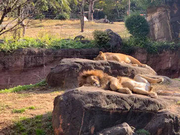 天王寺動物園に投稿された画像（2021/12/4）