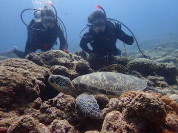 マリンショップtaitaiに投稿された画像（2021/12/4）