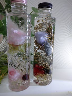 ずこうしつ〜sugamo〜に投稿された画像（2021/12/4）