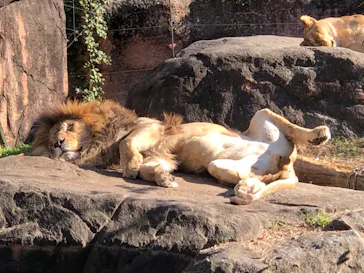 天王寺動物園に投稿された画像（2021/12/4）