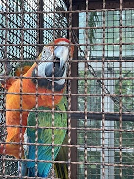 熱川バナナワニ園に投稿された画像（2021/12/4）