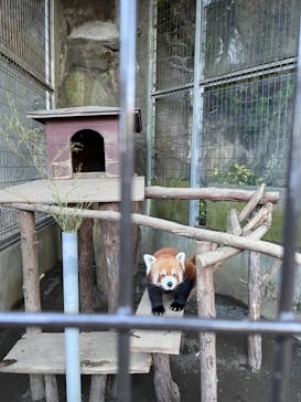 熱川バナナワニ園に投稿された画像（2021/12/4）