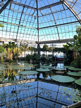 熱川バナナワニ園に投稿された画像（2021/12/4）