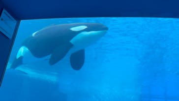 名古屋港水族館に投稿された画像（2021/12/4）