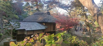 三溪園に投稿された画像（2021/12/4）