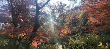 三溪園に投稿された画像（2021/12/4）