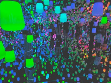 森ビル デジタルアート ミュージアム：エプソン チームラボボーダレスに投稿された画像（2021/12/4）