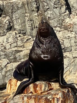 大分マリーンパレス水族館 「うみたまご」に投稿された画像（2021/12/4）