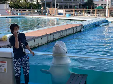 横浜・八景島シーパラダイスに投稿された画像（2021/12/4）