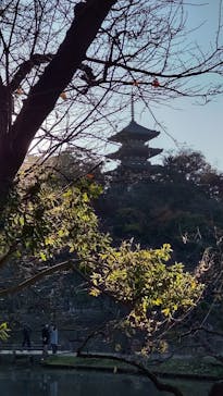 三溪園に投稿された画像（2021/12/4）