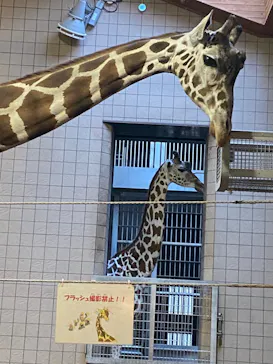 天王寺動物園に投稿された画像（2021/12/4）